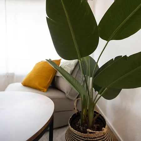 Διαμέρισμα New - - - Universitaetsklinikum Aψβούργη